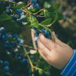 farming02-free-img