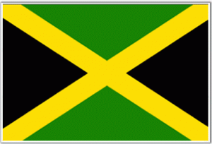 53df9a6f728f2.image