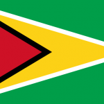 Flag_of_Guyana.svg
