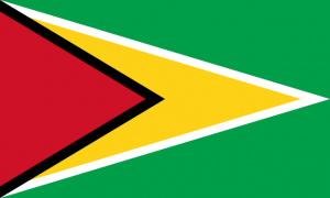 Flag_of_Guyana.svg