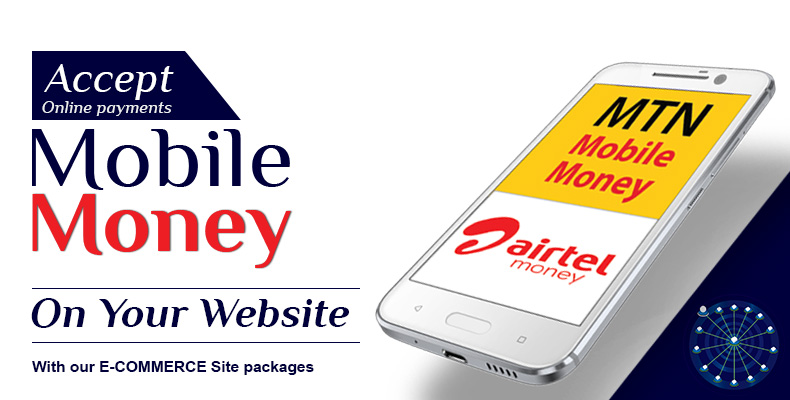 End-to-End-Mobile-Money-Payments-Integration-in-your-Website